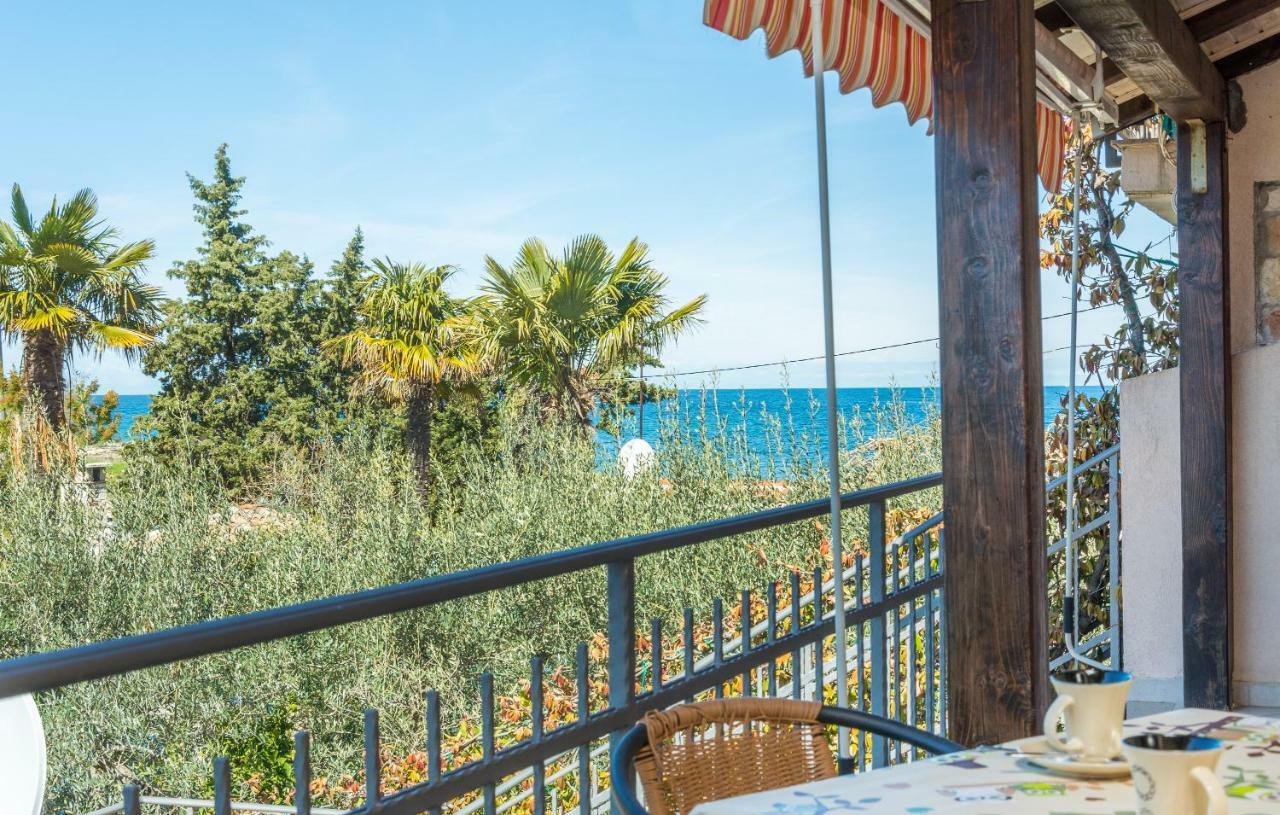 Apartment Valerio Novigrad  Exterior photo